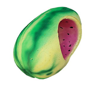 Foam Watermelon Hat